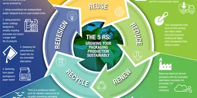 infographic-5-Rs