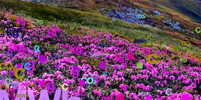 mountain-range-with-data-flowing-from-flowers