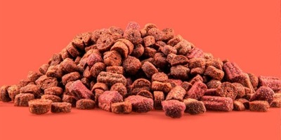 pet-food-with-iron-oxides